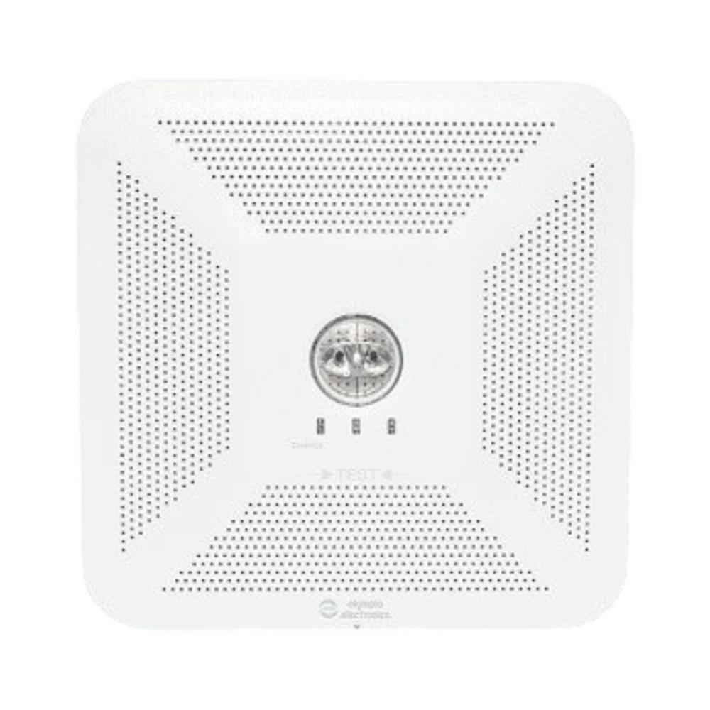 LED noodverlichting GR-491 Open ruimte 10 jarige batterij