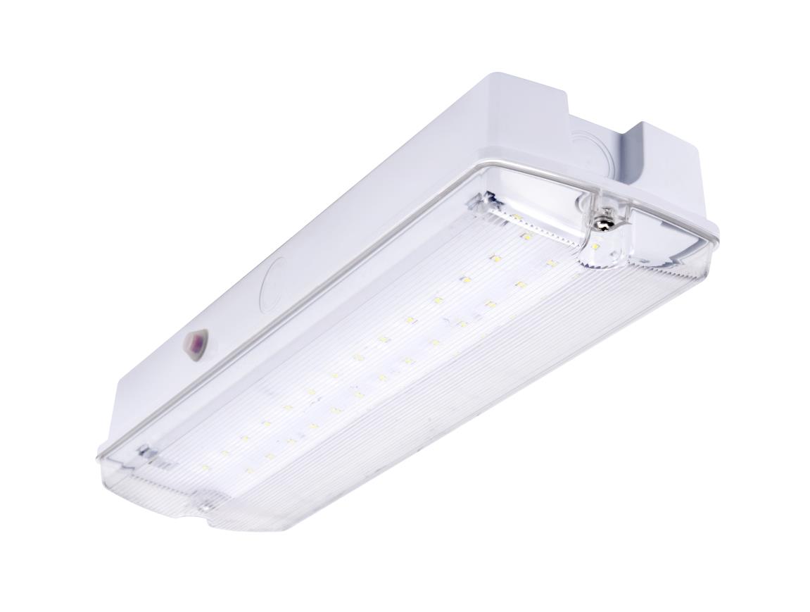 ORION LED 100 CBS [Central Battery Systeem] 230V
